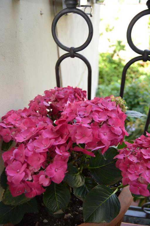 Chez Moi B&B Флоренция Екстериор снимка